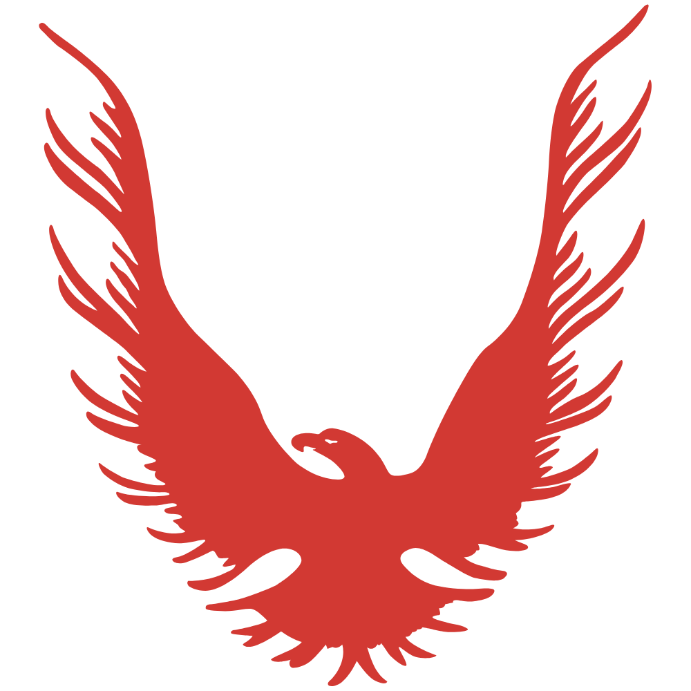 Alsancak Group Defence & Consultancy Co. Ltd logo